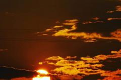 FB_IMG_1600018388062-01