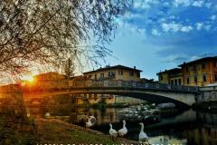 IMG_20200407_185840-01