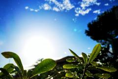 IMG_20200831_181919-01